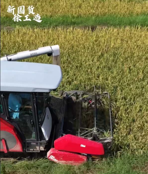 【稻花香里说丰年，听取蛙声一片】